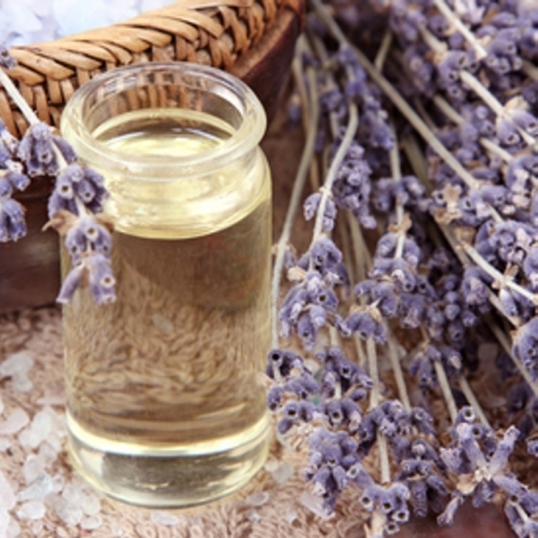lavender