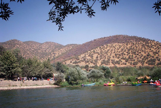 بیا به تماشای پرندگان مهاجر