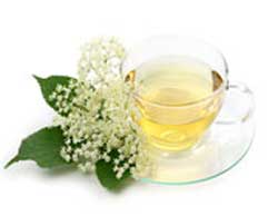 تصفیه ی خون,گیاها دارویی برای تصفیه ی خون,داروهای گیاهی تصفیه ی خون