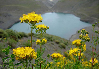 img-6