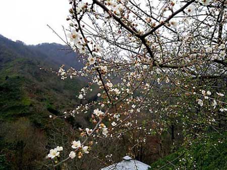 لنگرود,جاهای دیدنی لنگرود
