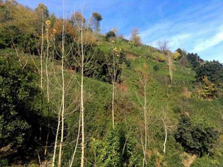 لنگرود,جاهای دیدنی لنگرود
