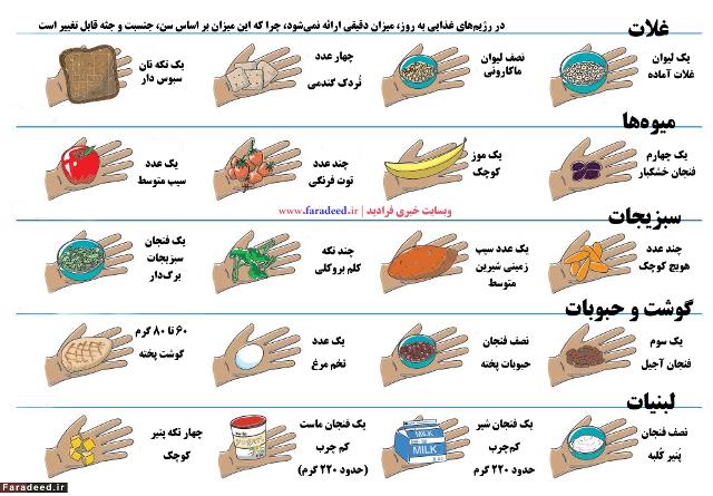 رژیم غذایی دش