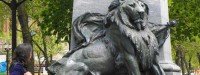 قدم زدن در پارک وحشت در ایرلند
