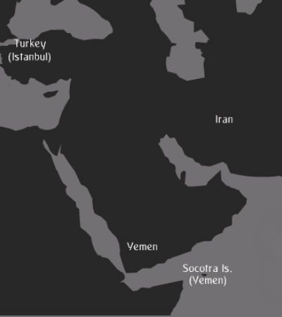 گزارش تصویری از جزیره شگفتی ها در یمن جنگ زده