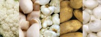 سبزیجات سفید رنگ